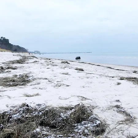 Blaumuschel Haus A 8 - Dh *