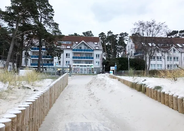 Tatil parkı Blaumuschel Haus A 8 - Dh